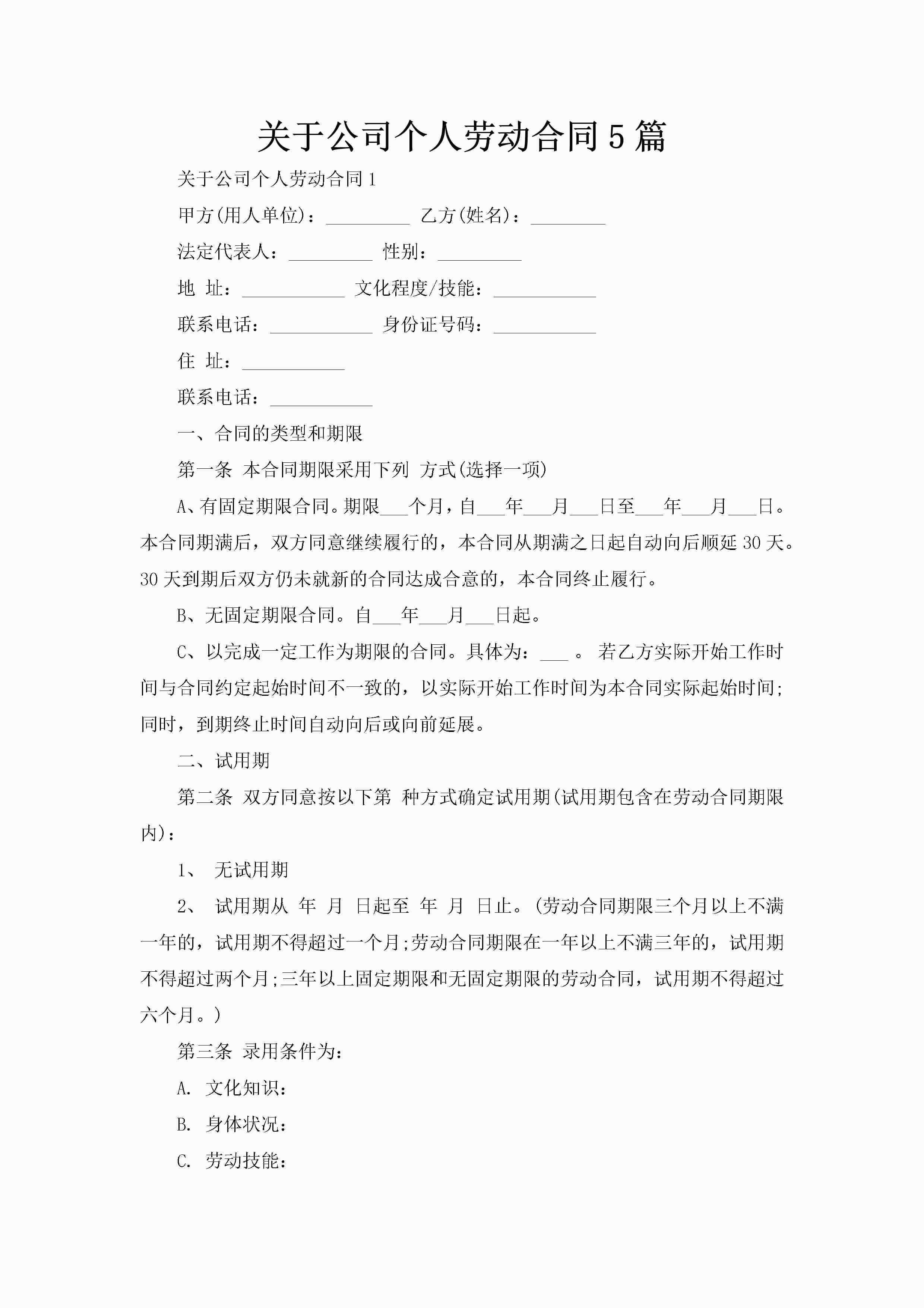 关于公司个人劳动合同5篇-聚给网