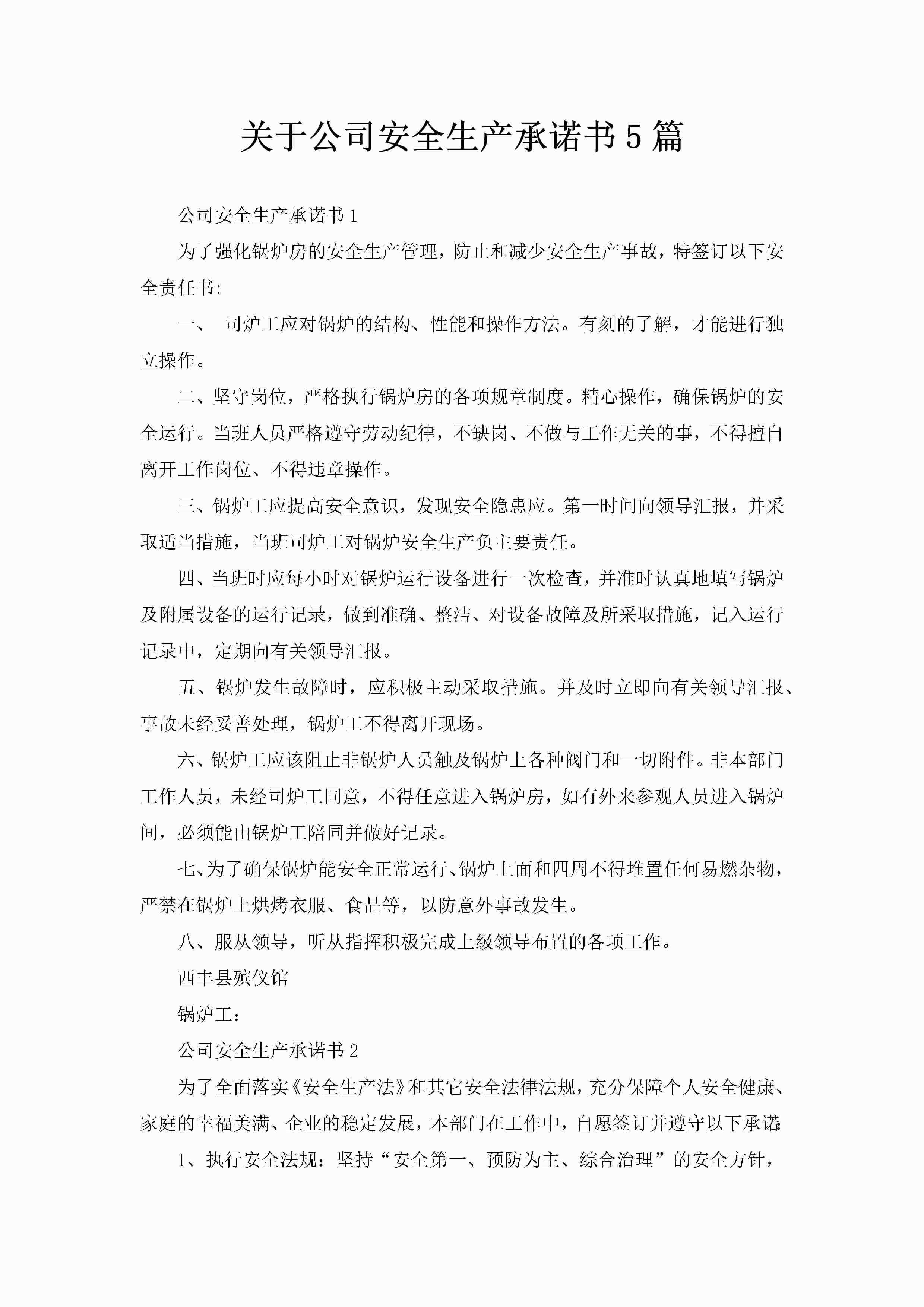 关于公司安全生产承诺书5篇-聚给网
