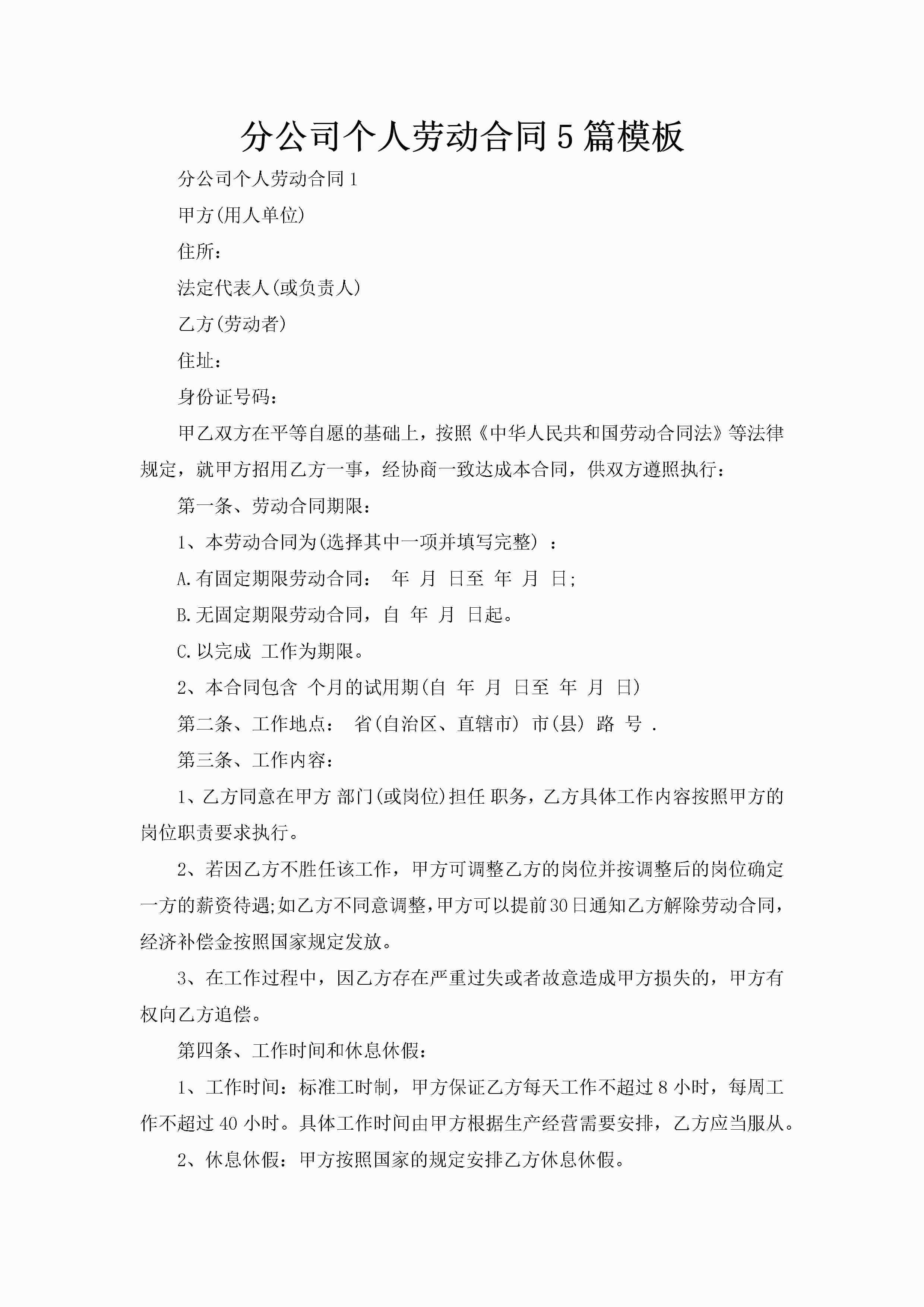 分公司个人劳动合同5篇模板-聚给网